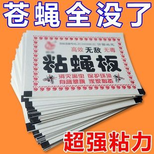 粘蝇纸苍蝇贴强力粘蝇板灭蝇子蚊子杀手克星捕捉器饭店家用一扫光