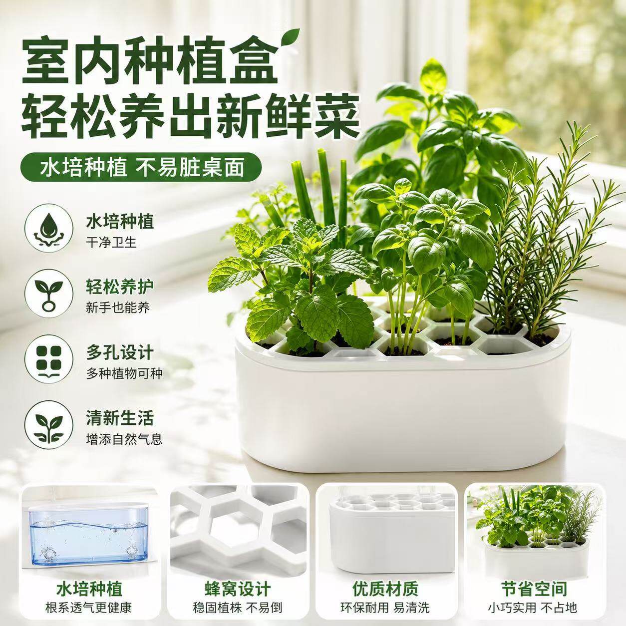 热销葱花植物再生水培套装免土免技巧快速收割阳台窗台家用种