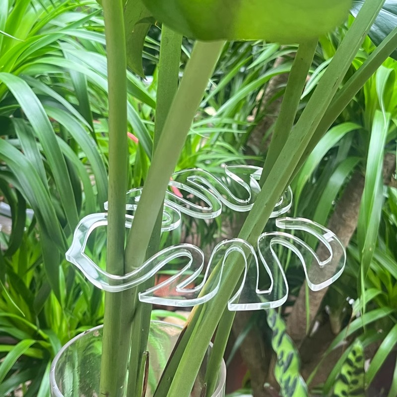 龟背竹防倒伏支架固定器绿植物固定夹水培花茎春羽园艺花卉收拢架