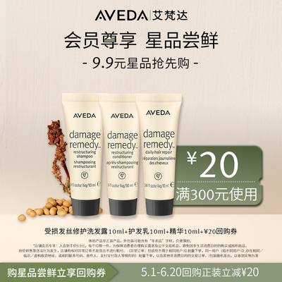 Aveda艾梵达发丝修护洗护精套装