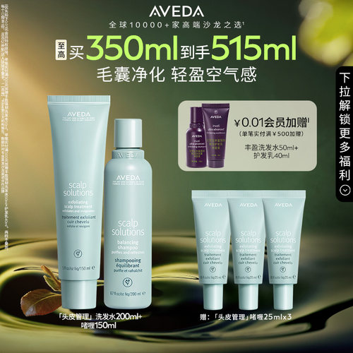 Aveda头皮管理洗发露+啫喱清洁
