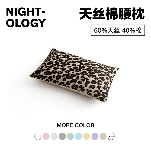NIGHTOLOGY晚安学天丝棉腰枕轻奢高级感客厅沙发床上抱枕新款