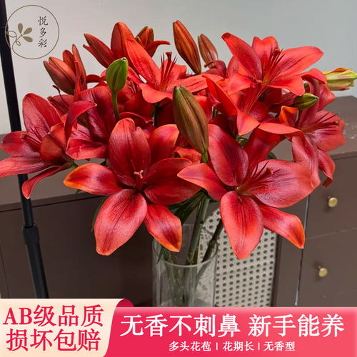 悦多彩亚百合鲜花昆明直发顺丰