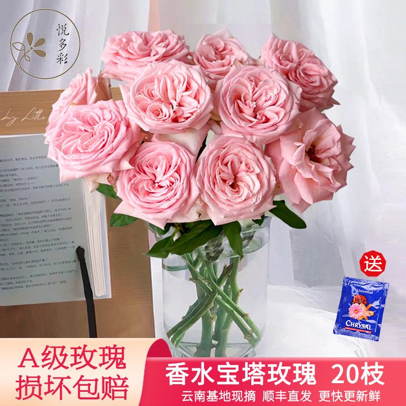 悦多彩AB级玫瑰花鲜切花七夕红色粉色求婚花束云南昆明基地直发