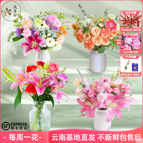 悦多彩每周一花优选AB级鲜花