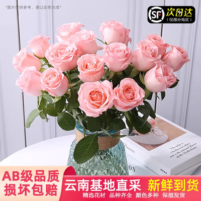 云南基地直发玫瑰鲜切花束顺丰