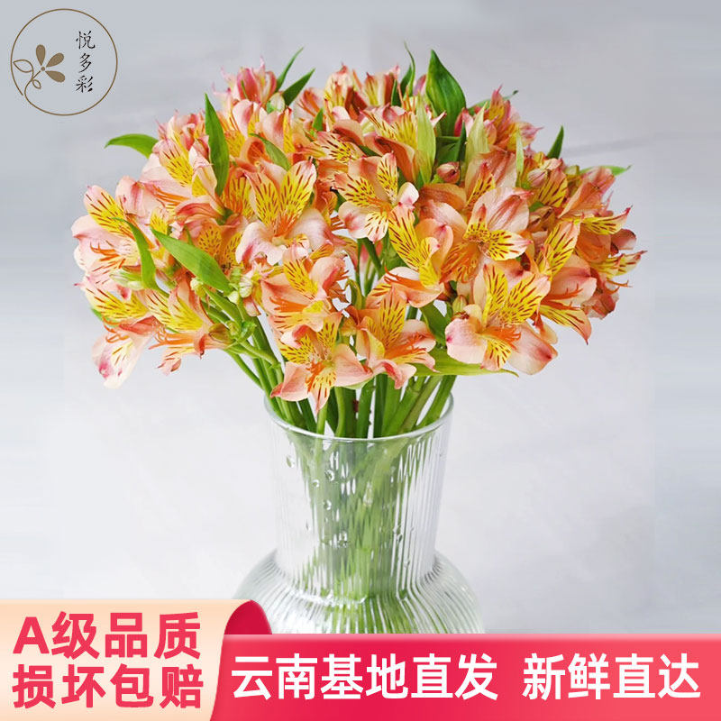 悦多彩A水仙百合玫瑰茉莉切花昆明基地直发香水百合鲜花速递花束