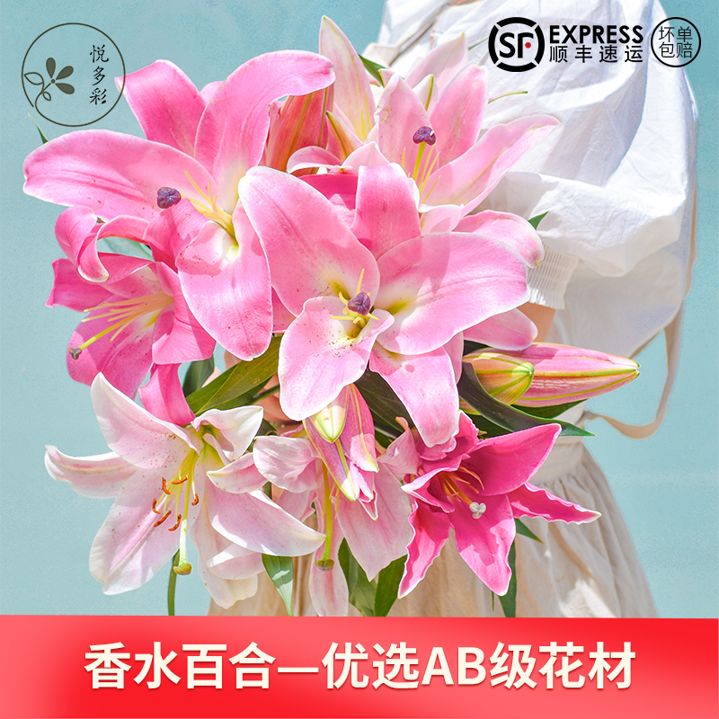 悦多彩百合鲜切花基地包邮