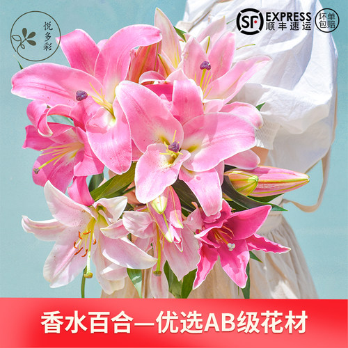 悦多彩百合鲜切花基地包邮