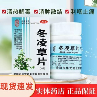 冬凌草片100片 安灯 清热解毒咽喉肿痛声音嘶哑咽炎 盒 低至10元