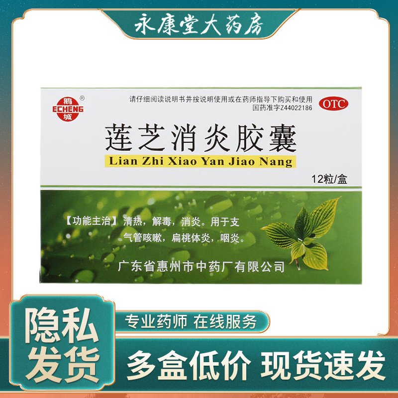 鹅城莲芝消炎胶囊12粒清热解毒支气管炎咳嗽面赤咽炎咽喉肿痛发热