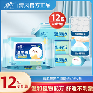 保障清洁亲肤无刺激厚实不易破温和使用更放心湿巾湿厕纸 清风正品