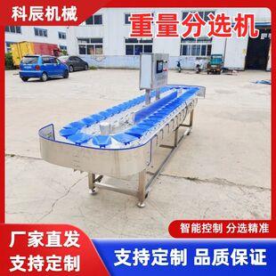 脐橙小型水果分选机 苹果大小重量分选机 火龙果全自动重量分选机