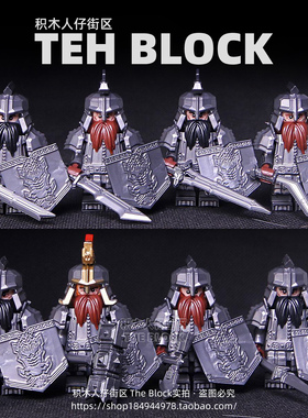 第三方中世纪古代风魔戒指环王霍比特武士小矮人积木人仔拼装玩具