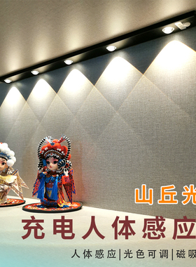 猫眼充电人体感应灯带免接线衣酒柜波纹灯磁吸自粘LED鞋柜山丘灯