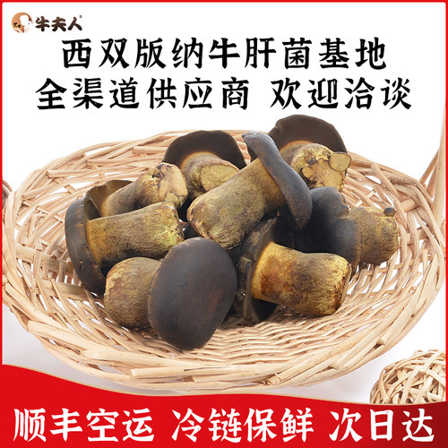 牛夫人新鲜牛肝菌精选A级菇