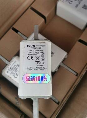 170M3146 1250V 315A