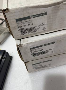 进口传感器 XGK-S110121，片，数量4台