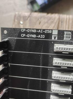 CP-DYNB-AI-250 CP-DYNB-AIO