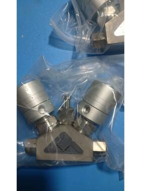 金双头隔膜阀组FBNDV-6.35-2B3-DGO接口1