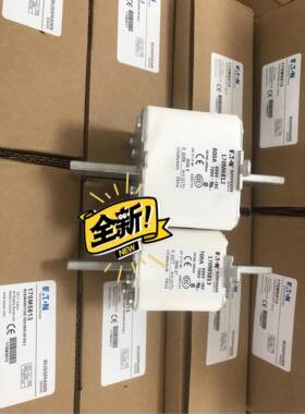 BUSSMANN熔断器保险丝170M5813 170M581