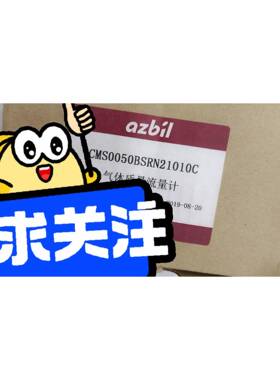 气体质量流量计CMS0050BSRN210