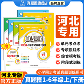 冀教版 小学真题圈三四五六年级真题人教版 3456年级阅读考试卷语文数学英语名校期末试卷真题圈暑假衔接通用 河北专用 2025新版
