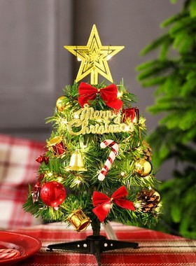 Xmas Tree Set (30-120cm): Mini Tabletop Tree + Dense Lights