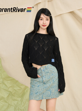 DifferentRiver2024春夏时尚简约镂空短款上衣女款毛衣