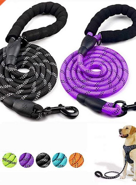 Dog Leash Medium Large Dog Durable Training Walking Rope Bi