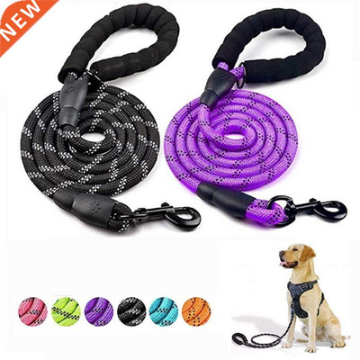 Dog Leash Medium Large Dog Durable Training Walking Rope Bi