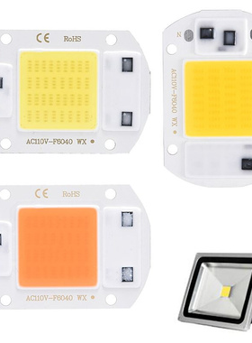 IC Driver LED Beads Bulb COB Lamp Chip 110V Input Integrated