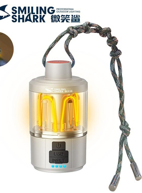 Outdoor dual light source camping lamp with charging output