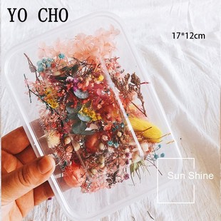 1 Box 10 Kind Dried Flower DIY Accessories Dry Aromatherapy