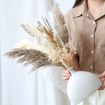 Reed Grass Dried Flowers Wedding Preserved Bouquet Diy Home
