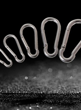 1 Pc 304 Stainless Steel Spring Carabiner Snap Hook Keychain