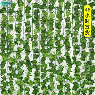 1pcs 2.2 M Simulation Ivy Scindapsus Aureus Leaves Ivy Ivy跨