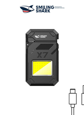 Multifunctional arc lighter portable lighting work light