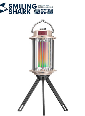 Camping light outdoor emergency lighting tent light charging