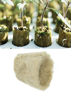 50pcs Soilles Plantin Sponge Planting Grow Grodan Starter Cy