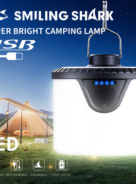 Outdoor solar camping light with electronic display output