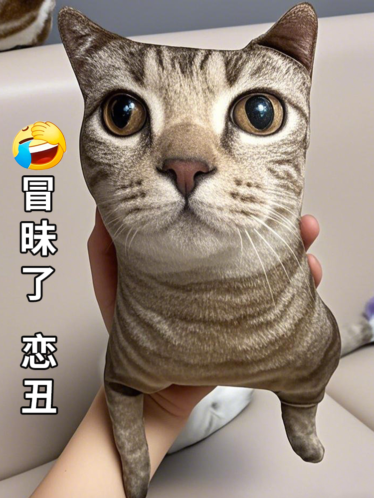无白边丑猫抱枕定制玩偶定做宠物抠图包丑猫娃娃猫咪diy照片靠枕