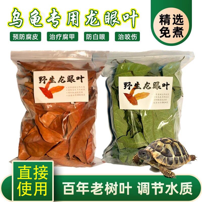 养龟龙眼叶治疗腐皮乌龟造景水族红色养鱼树叶子调节改善水质免煮