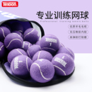 Teloon天龙紫色网球训练球男女专业耐打耐磨无压初学训练比赛网球