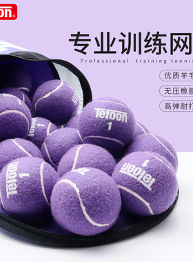 Teloon天龙紫色网球训练球男女专业耐打耐磨无压初学训练比赛网球