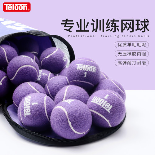 Teloon天龙紫色网球训练球男女专业耐打耐磨无压初学训练比赛网球