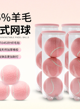 padel笼式板式网球比赛训练用球高弹耐打padel ball粉色板球3粒装