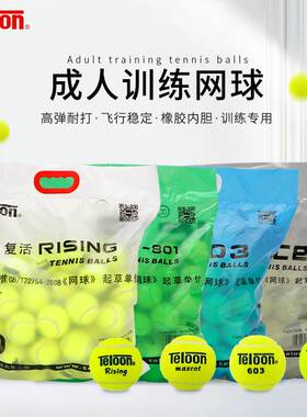 Teloon天龙网球训练球rising复活网球初学比赛训练网球发球机用球