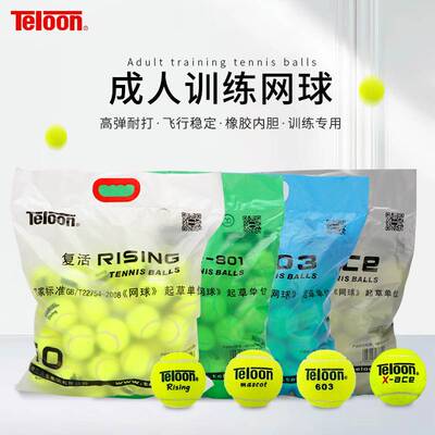 天龙网球训练球网球发球机用球