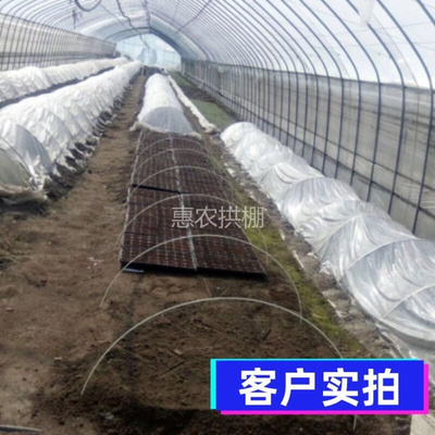 小拱棚支架拱杆玻璃钢纤维温室大棚骨架暖棚架蔬菜花棚